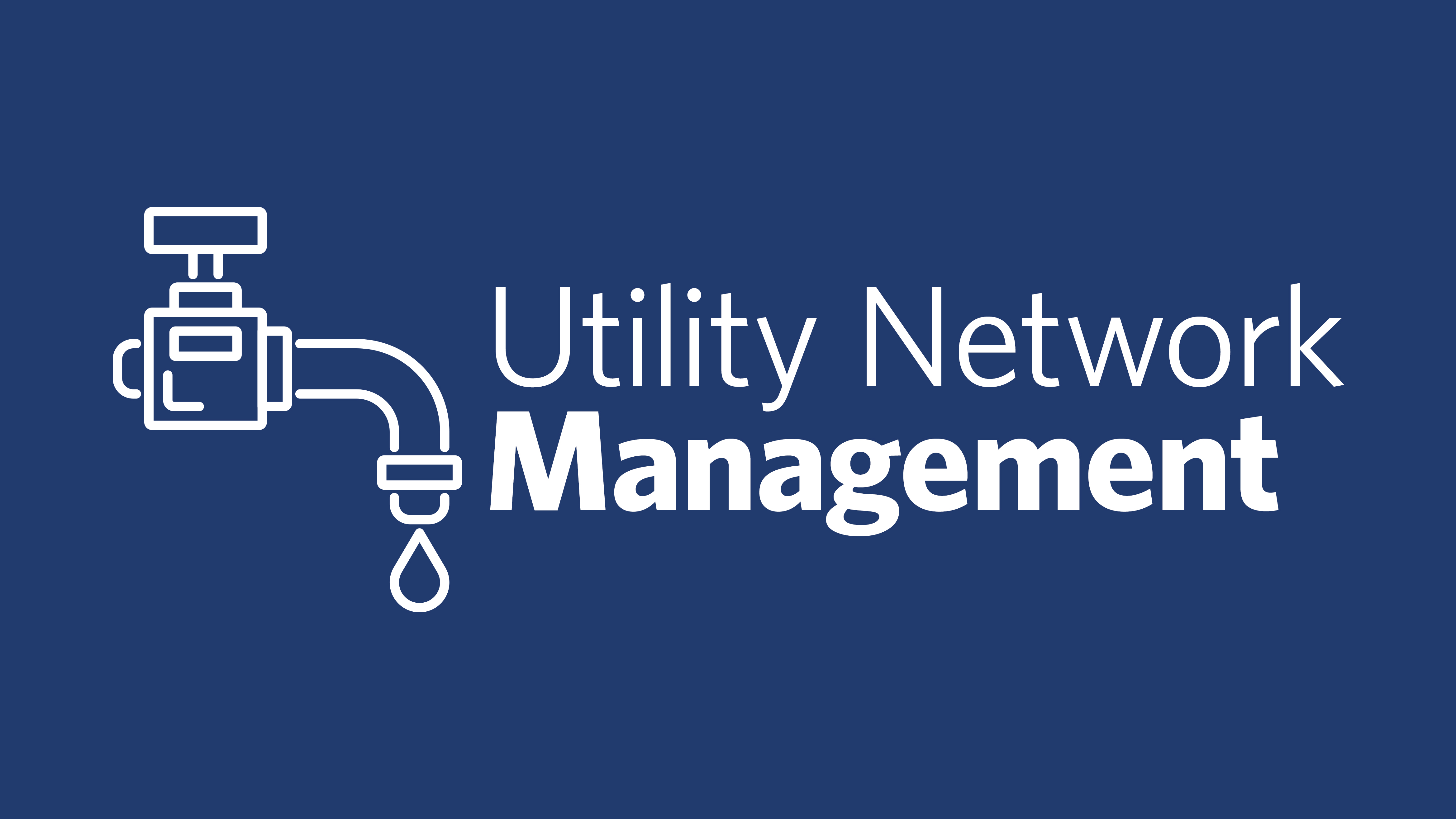 2020 Blog Series: Utility Network Management